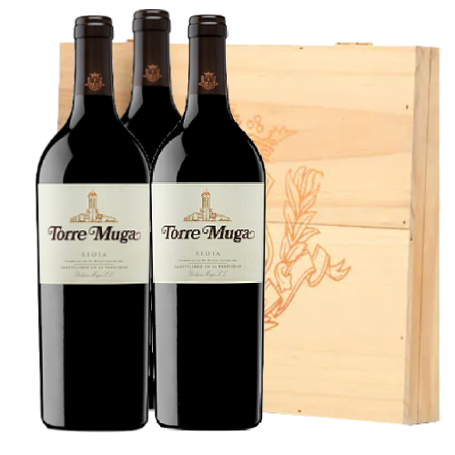 3/BT TORRE MUGA 2019