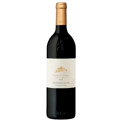ASTER FINCA EL OTERO 2019