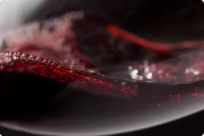 Rioja vs Ribera