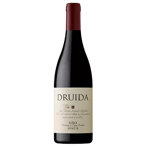 Druida 2022