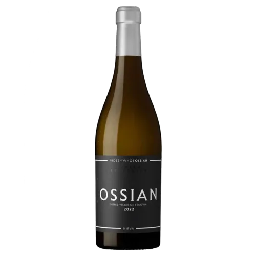 OSSIAN VERDEJO F/B 2022