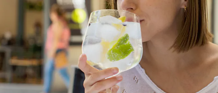 Ginebra al mejor precio