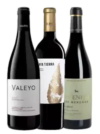 lote-tinto_pack Lote de 3 vinos tintos