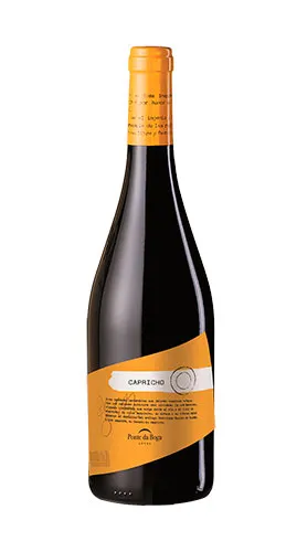 CAPRICHO DE MERENZAO 2017