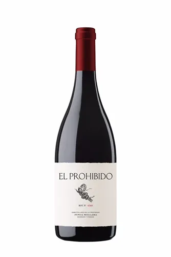 EL PROHIBIDO 2018