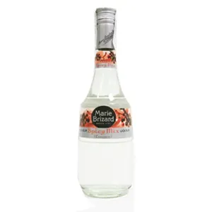 LICOR ESSENCE SPICY MIX BRIZARD 50CL 30º