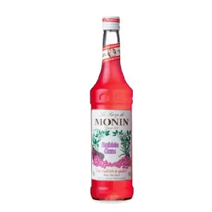 SIROPE MONIN CHICLE